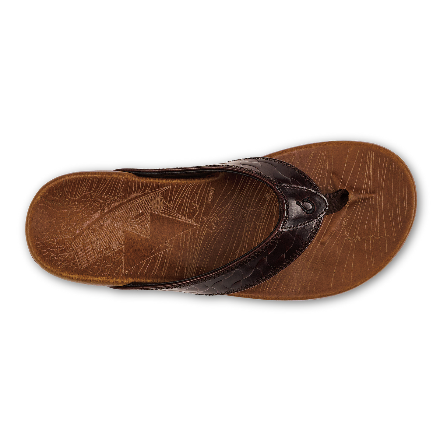 Hikianalia  -  Dark Java / Tan