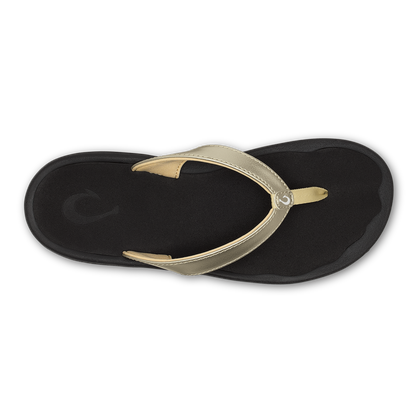 ʻOhana Lahi -  Gold / Black