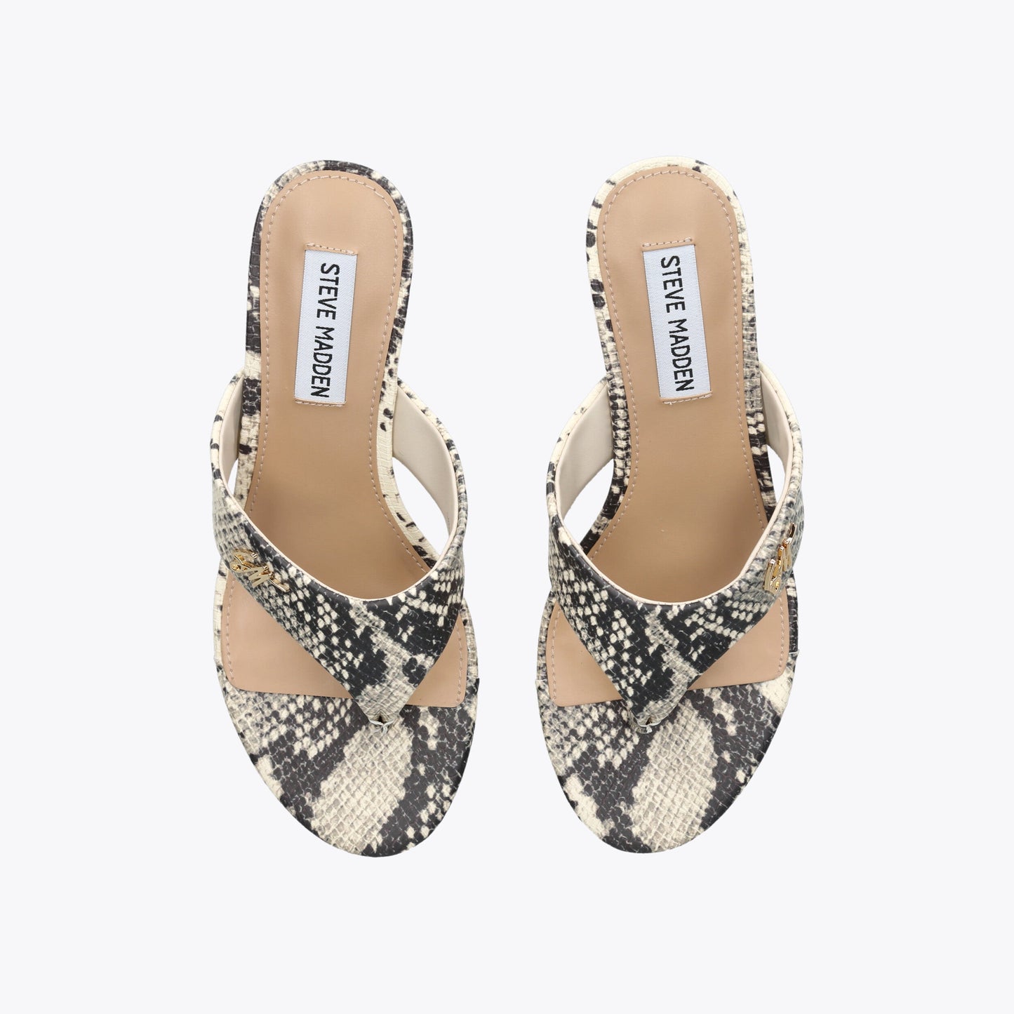 Soundview Snakeprint