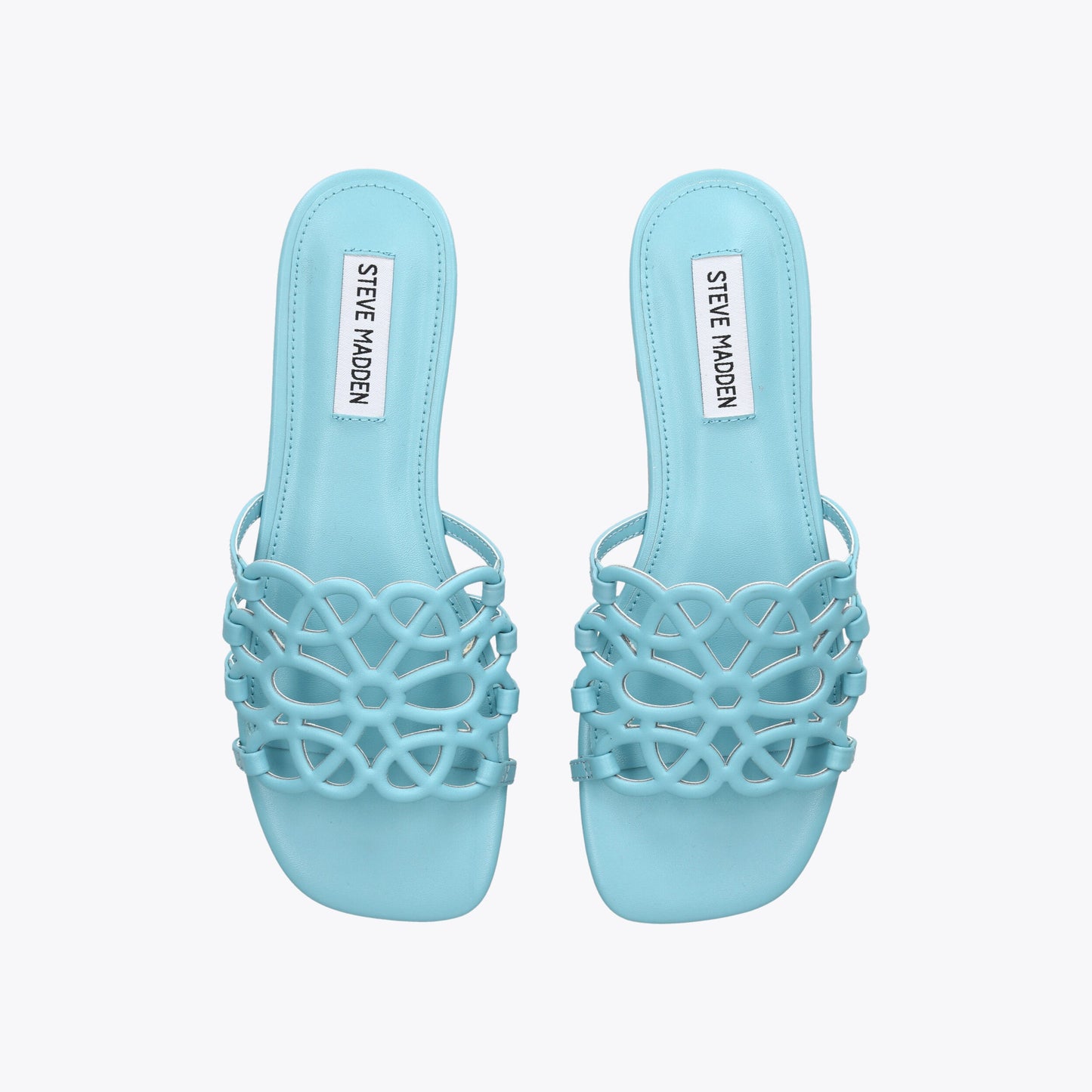 Lotus Blue