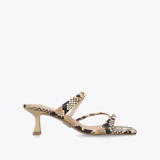 Ajay Snakeprint