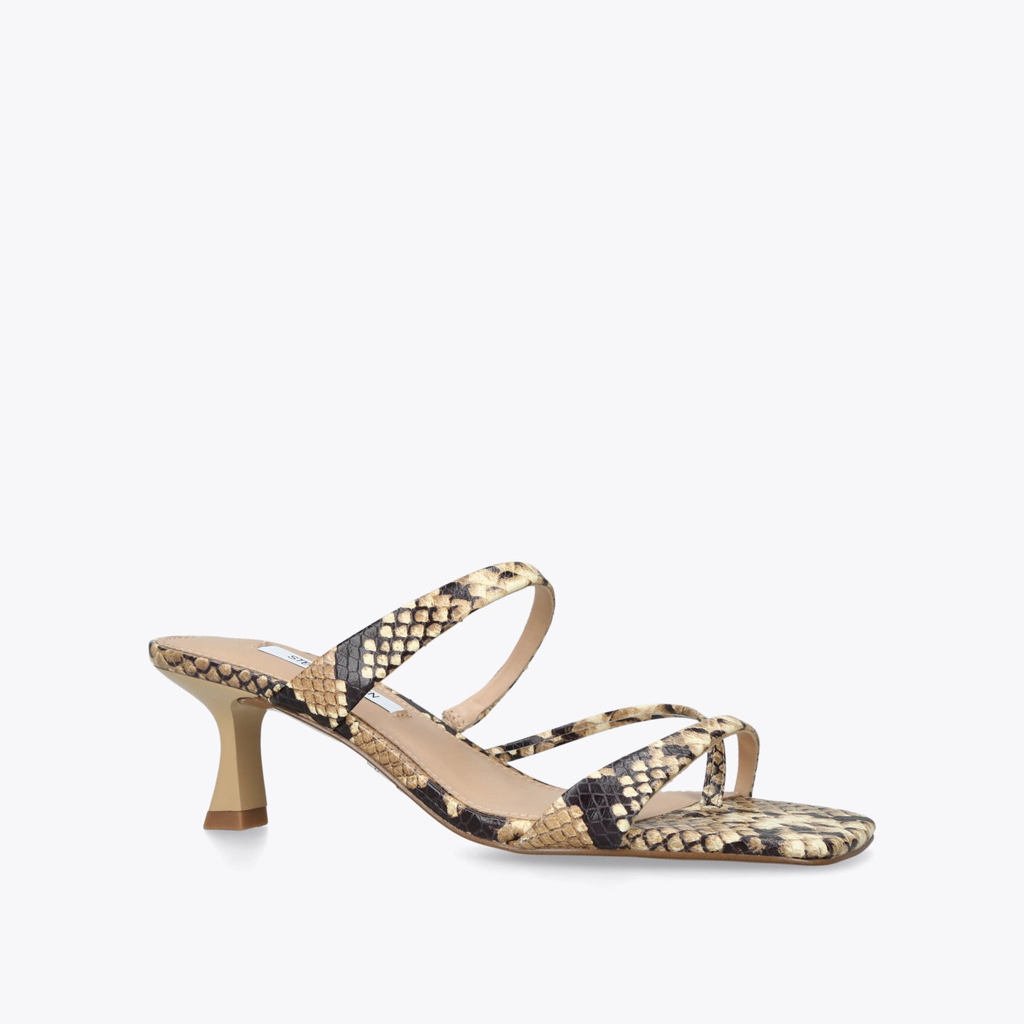 Ajay Snakeprint