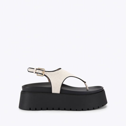 Tabor White